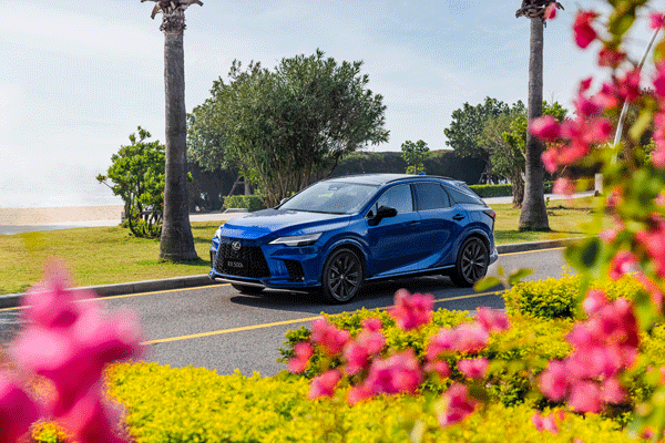 Mềm-mại-mà-sắc-nét